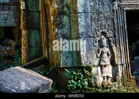 Bas-reliefs dans Ta Prohm en zone archéologique d'Angkor au Cambodge Banque D'Images