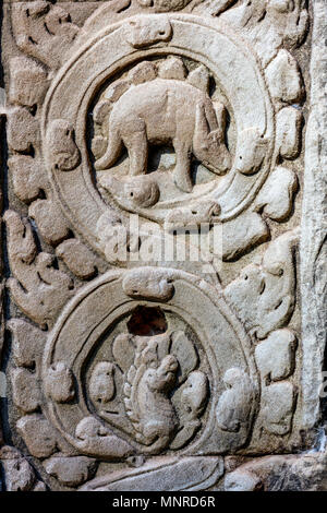 Bas-reliefs dans Ta Prohm temple en zone archéologique d'Angkor au Cambodge Banque D'Images