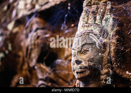 Bas-reliefs en terrasse du Roi lépreux dans la zone archéologique d'Angkor au Cambodge Banque D'Images