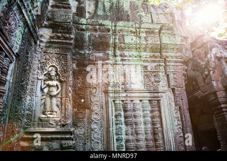 Bas-reliefs dans Ta Prohm en zone archéologique d'Angkor au Cambodge Banque D'Images