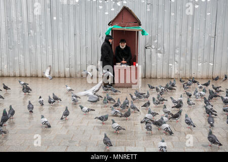 Deux hommes adultes converser à l'extérieur tout en alimentant les pigeons un jour de pluie à Istanbul, Turquie. Banque D'Images