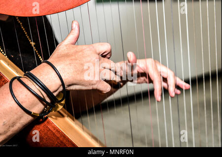 Harpe irlandaise Banque D'Images