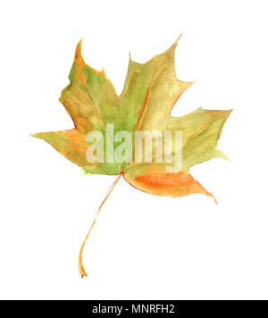 L'automne feuille d'érable sur aquarelle. Banque D'Images