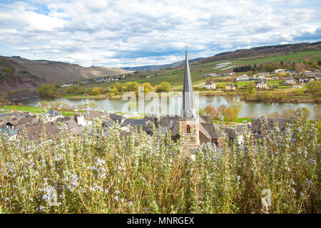 Village Urzig sur la Moselle entre la Moselle et les vignobles en Rheinland-pfalz Allemagne Banque D'Images