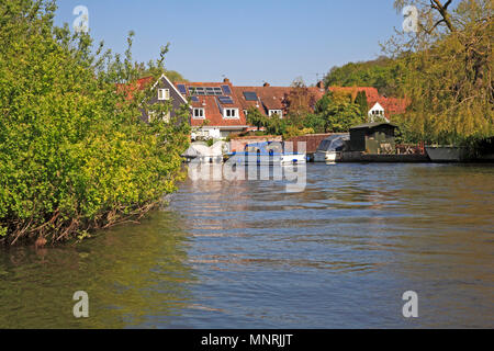 Une vue de la rivière Bure avec bateaux amarrés sur les Norfolk Broads à Belaugh, Norfolk, Angleterre, Royaume-Uni, Europe. Banque D'Images