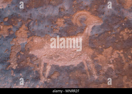 Mouflons, petroglyph, Fremont River Canyon, Capitol Reef National Park, Utah Banque D'Images