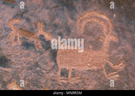 Pétroglyphes, mouflons, Fremont River Canyon, Capitol Reef National Park, Utah Banque D'Images