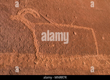 Pétroglyphes, mouflons, Fremont River Canyon, Capitol Reef National Park, Utah Banque D'Images