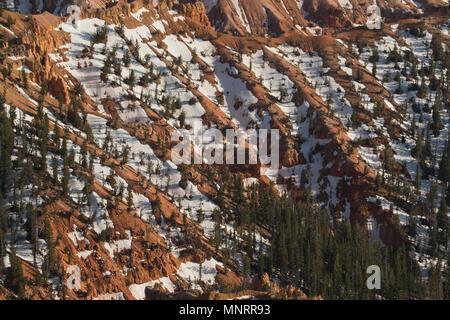 Neige de printemps, Cedar Breaks National Monument (Utah) Banque D'Images
