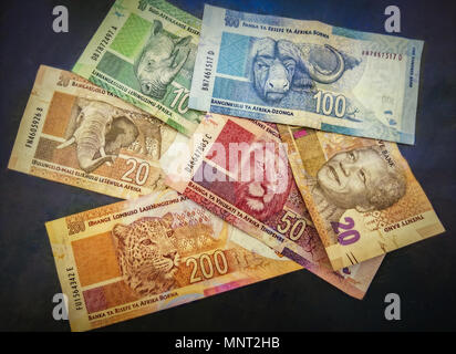 La Collection de billets de monnaie Rand Sud Africain avec de grands animaux de Safari 5 et Nelson Mandela illustrations. Banque D'Images