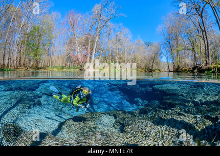 Femme de plongée sous marine, l'exploration de sources d'eau douce, Ginnie Springs, Springs, Floride, Etats-Unis, M. Banque D'Images