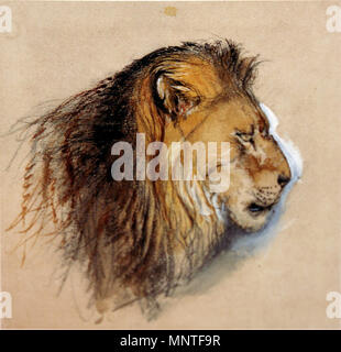 . Profil de Lion à partir de la vie. Crayon, encre, aquarelle et carrosserie sur papier chamois, 16,5 x 16,1 cm . 1870. John Ruskin (1819-1900) Noms alternatifs Ruskin Description auteur britannique, poète, artiste et critique d'art Date de naissance/Décès 8 Février 1819 20 janvier 1900 Lieu de naissance/décès London English : Brantwood, Lake District lieu de travail de l'Angleterre, Venise, la Suisse, la France contrôle d'autorité : Q179126 : VIAF 73859585 ISNI : 0000 0001 2139 3446 ULAN : 500006262 RCAC : n79006950 36583544 812 ALN : WorldCat Lion's profile de Ruskin vie Banque D'Images