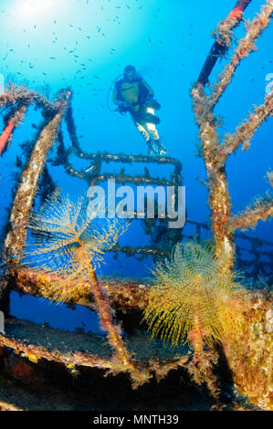 Femme de plongée sous marine, l'exploration d'un naufrage, MV Karwela, Gozo, Malte, mer Méditerranée, Océan Atlantique, M. Banque D'Images