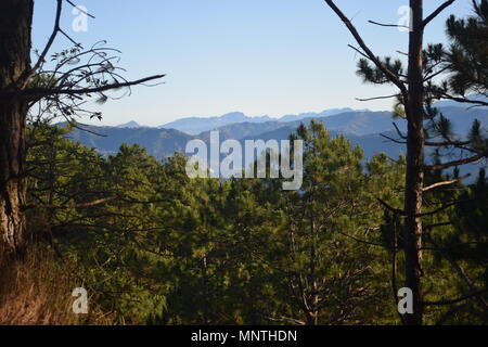 Chaîne de Montagnes de la Cordillère, vue en plein midi de la Mount Ulap pendant la randonnée le sentier écologique le long Ampucao Sta. Fe de montagnes en Itogon, Benguet. Banque D'Images