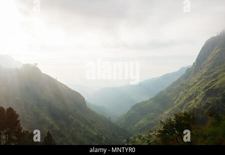 Vue imprenable sur les montagnes et les plantations de thé à partir de peu d'Adams peak dans Ella Sri Lanka Banque D'Images