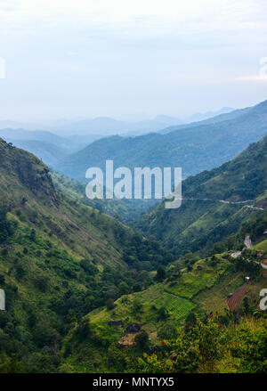 Vue imprenable sur les montagnes et les plantations de thé à partir de peu d'Adams peak dans Ella Sri Lanka Banque D'Images