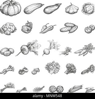 Jeu de croquis d'illustration vectorielle de légumes Illustration de Vecteur