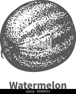 Vector illustration dessinées watermelon Illustration de Vecteur