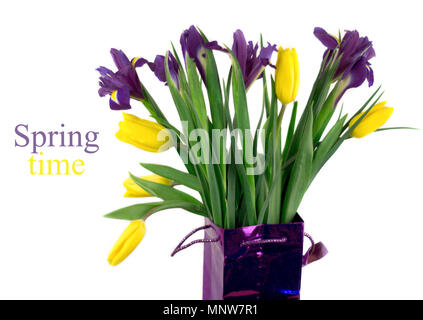 Tulipes jaune et bleu d'iris dans l'emballage est isolé Banque D'Images