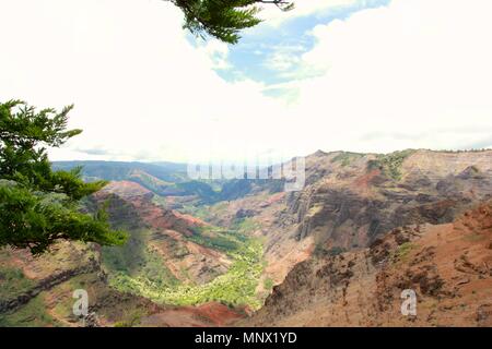 Les couleurs vert et marron dans le célèbre Canyon de Waimea sur le jardin de l'île de Kauai, Hawaii. Banque D'Images