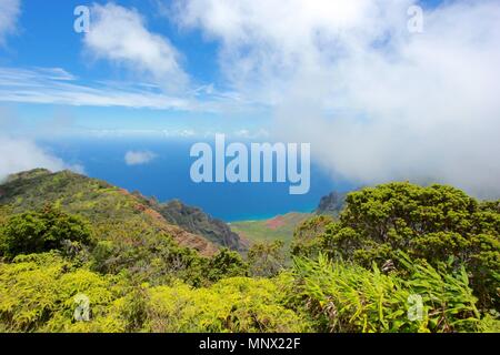 Vues de la Côte de Na Pali Kalalau Valley et le parc d'état de Kokee sur l'île de Kauai, Hawaii. Banque D'Images