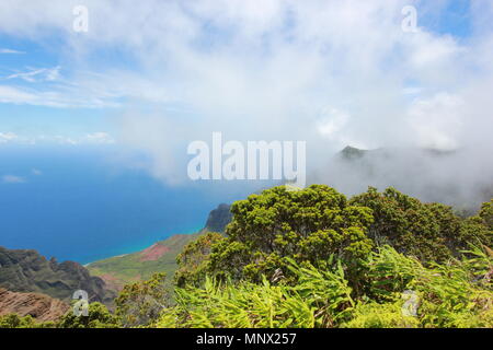 Vues de la Côte de Na Pali Kalalau Valley et le parc d'état de Kokee sur l'île de Kauai, Hawaii. Banque D'Images