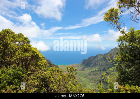 Vues de la Côte de Na Pali Kalalau Valley et le parc d'état de Kokee sur l'île de Kauai, Hawaii. Banque D'Images