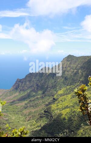 Vues de la Côte de Na Pali Kalalau Valley et le parc d'état de Kokee sur l'île de Kauai, Hawaii. Banque D'Images