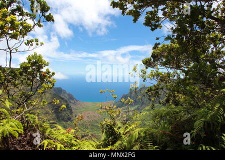 Vues de la Côte de Na Pali Kalalau Valley et le parc d'état de Kokee sur l'île de Kauai, Hawaii. Banque D'Images