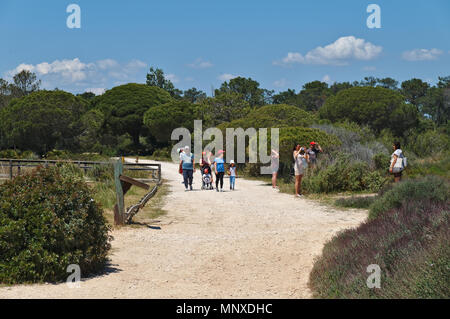 Les touristes qui visitent le parc naturel Ria Formosa à Olhao. Algarve, Portugal Banque D'Images