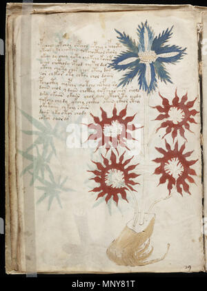 . Une page du manuscrit de Voynich mystérieux, qui est undeciphered à ce jour. Date exacte de la création inconnue, pense qu'il a été écrit dans le xve ou xvie siècle.. 1245 manuscrit de Voynich inconnu (32) Banque D'Images