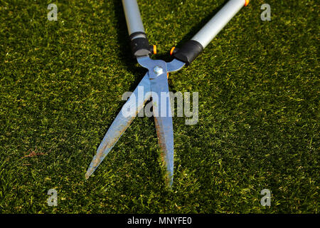 Cisailles tool lying on grass dans une arrière-cour jardin Banque D'Images