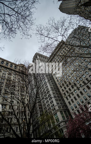 Les branches d'arbres contre les grands bâtiments à Manhattan, New York. USA. 30 avril 2018 Banque D'Images