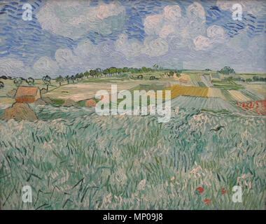 Près de la plaine d'Auvers . Anglais : Vincent van Gogh, près de la plaine d'Auvers, peint en 1890, Neue Pinakothek, Munich Deutsch : Vincent van Gogh, Ebene bei Auvers, 1890, Neue Pinakothek, Munich . foto : 2009, illustrations : 1890. 1238 Vincent van Gogh Ebene bei Auvers 1890 Neue Pinakothek Munich Banque D'Images