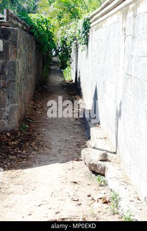 Ile Maurice. Pointe d'Esny Banque D'Images