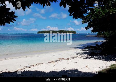 Ile Maurice. Pointe d'Esny Banque D'Images
