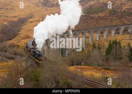 Viaduc de Glenfinnan et train à vapeur Banque D'Images