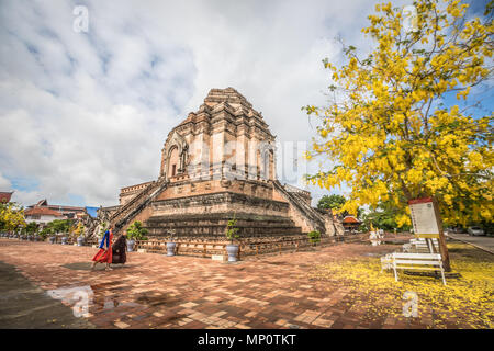 Wat Chedi Luang Chiang Mai en Birmanie Banque D'Images