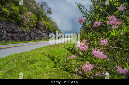 Ressort sur le Blue Ridge Parkway en Caroline du Nord Banque D'Images