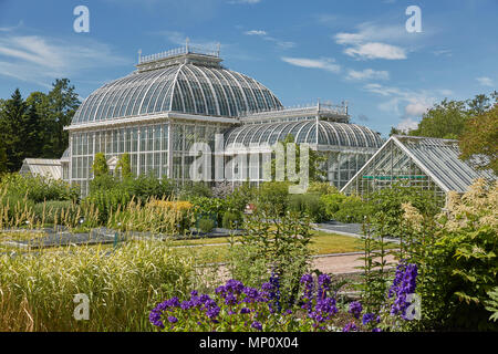 HELSINKI, FINLANDE - le 10 juillet 2017 : le jardin botanique de Kaisaniemi et ses émissions à Helsinki en Finlande. Banque D'Images