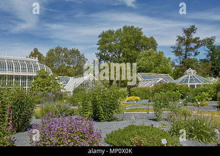 HELSINKI, FINLANDE - le 10 juillet 2017 : le jardin botanique de Kaisaniemi et ses émissions à Helsinki en Finlande. Banque D'Images