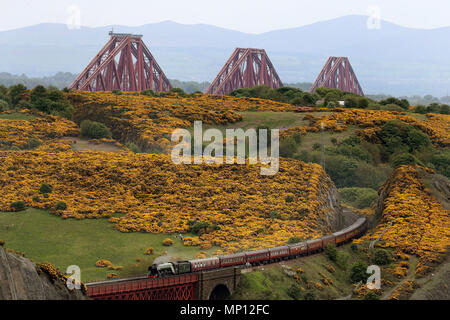 The Flying Scotsman train à vapeur fait son chemin à travers la campagne de Fife avec le Forth Rail Bridge en arrière-plan. Banque D'Images