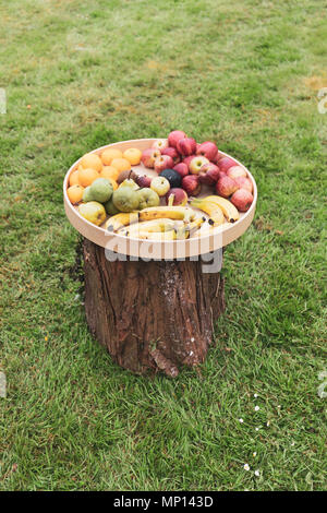 Bac rustique plein de fruits différents est au-dessus d'un arbre se connecter Banque D'Images