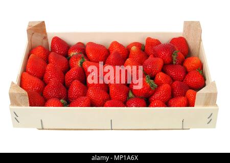 Fraises dans boîte en bois, isolé sur fond blanc Banque D'Images