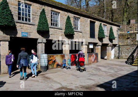 Les gens qui vont en voir les porcs dans la basse-cour à Chatsworth House, Bakewell, Derbyshire Banque D'Images