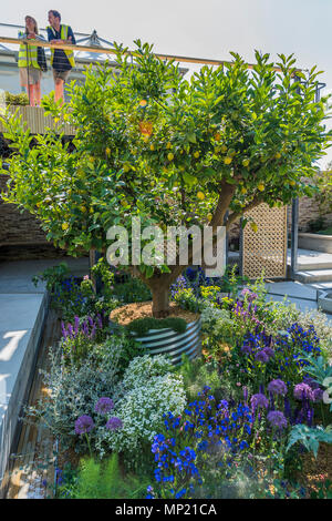 Londres, Royaume-Uni. 20 mai 2018. Le Lemon Tree Garden Trust, parrain : Le Citronnier Trust, Designer : Tom Massey et entrepreneur : Paysage Associates - Le RHS Chelsea Flower Show au Royal Hospital, Chelsea. Crédit : Guy Bell/Alamy Live News Banque D'Images