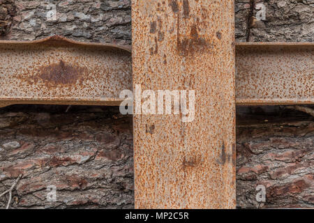 Sciage de bois de pin stocké dans un récipient en métal rouillé Banque D'Images