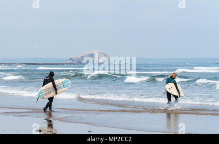 Transporter les planches de surf de mer à Belhaven Beach, Basse Rock en distance, East Lothian, Ecosse, Royaume-Uni Banque D'Images