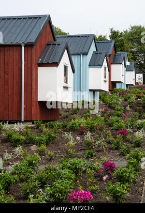 Voir de nouvelles maisons en bois à la morsure sociale Village de Granton construit par morsure sociale organisation pour les sans-abri, Edinburgh, Scotland, United Kin Banque D'Images
