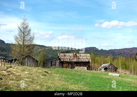 En bois à l'ancienne dépendances détruites à la périphérie de la forêt. Parmi les montagnes des Carpates en Ukraine. À l'extérieur. Close-up. Banque D'Images